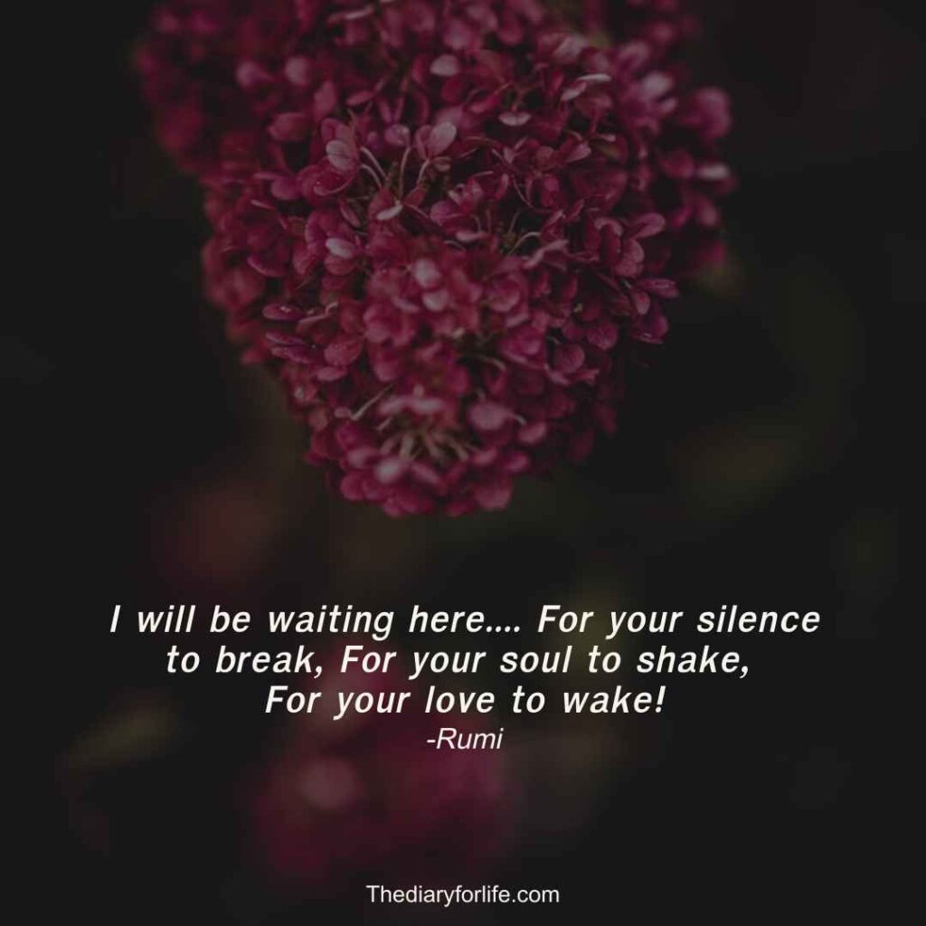 rumi quotes on silence