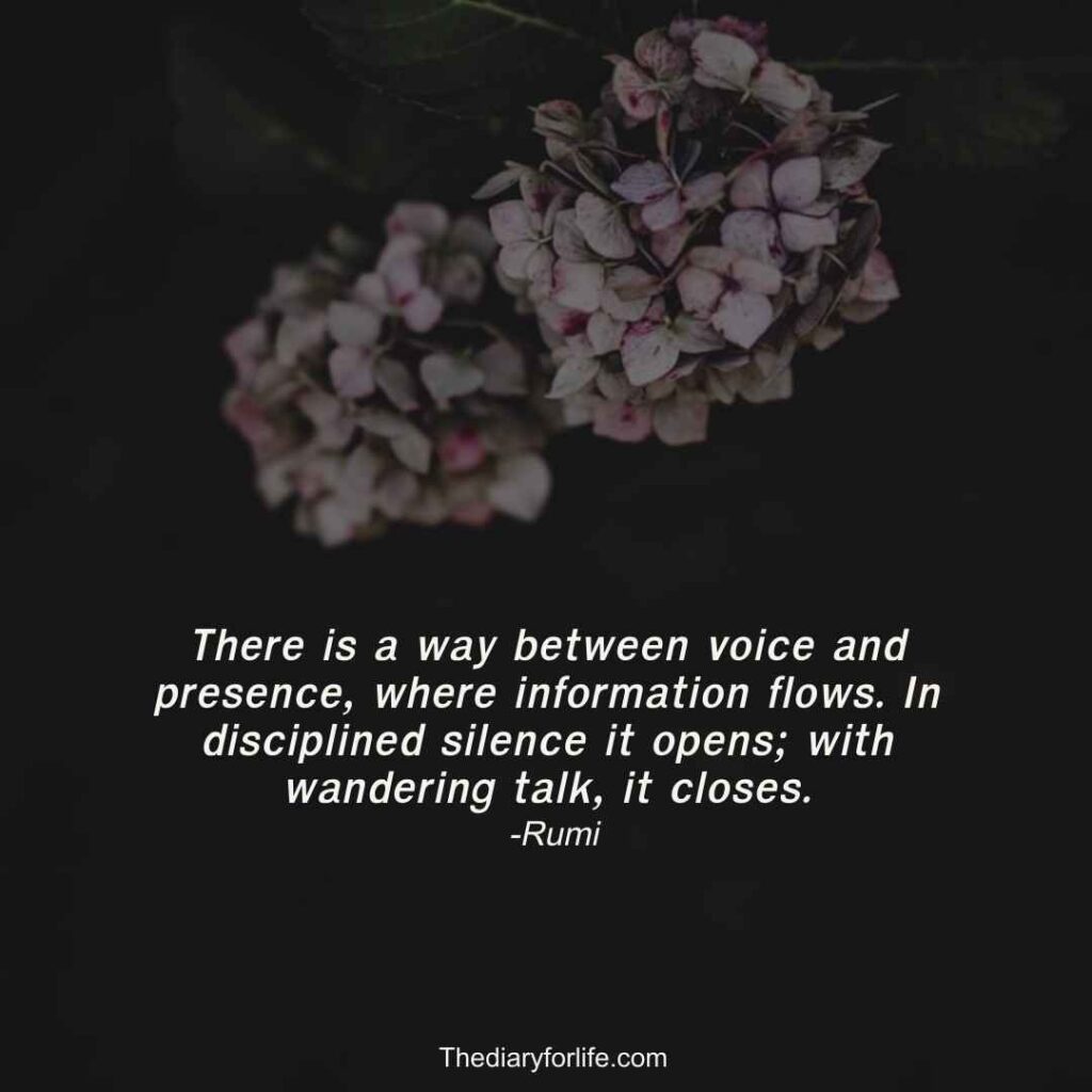 rumi quotes on silence