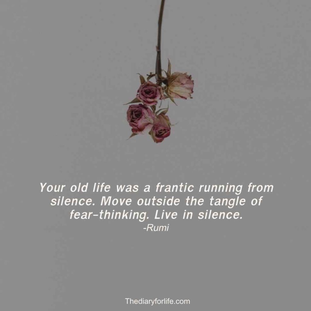 rumi quotes on silence