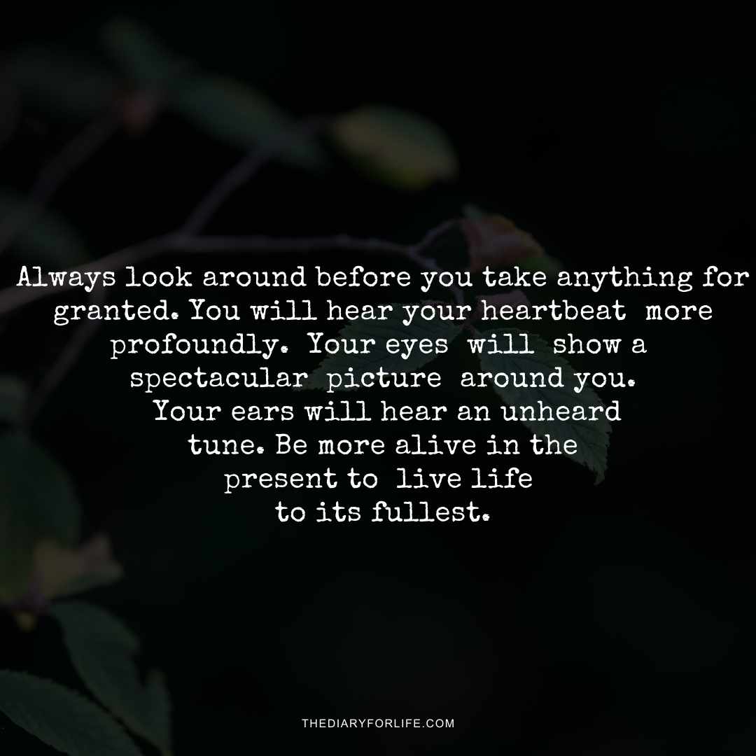 50+ Meaningful Quotes About Taking Things For Granted