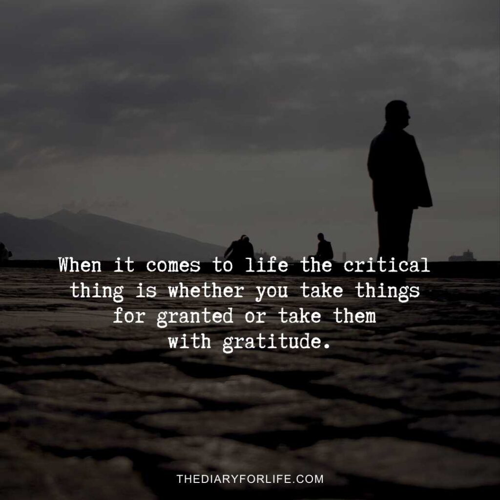 quotes about taking things for granted