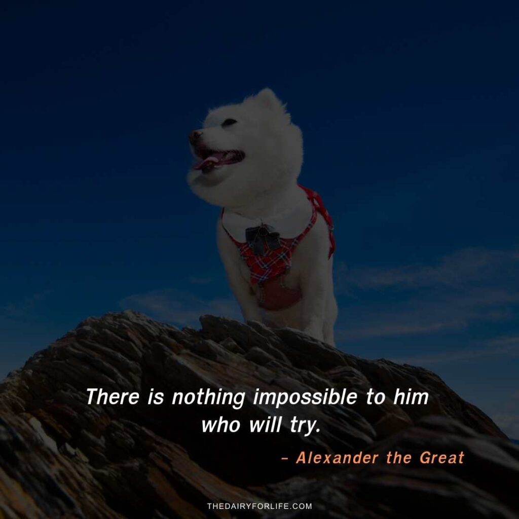 Alexander the Great quotes on success