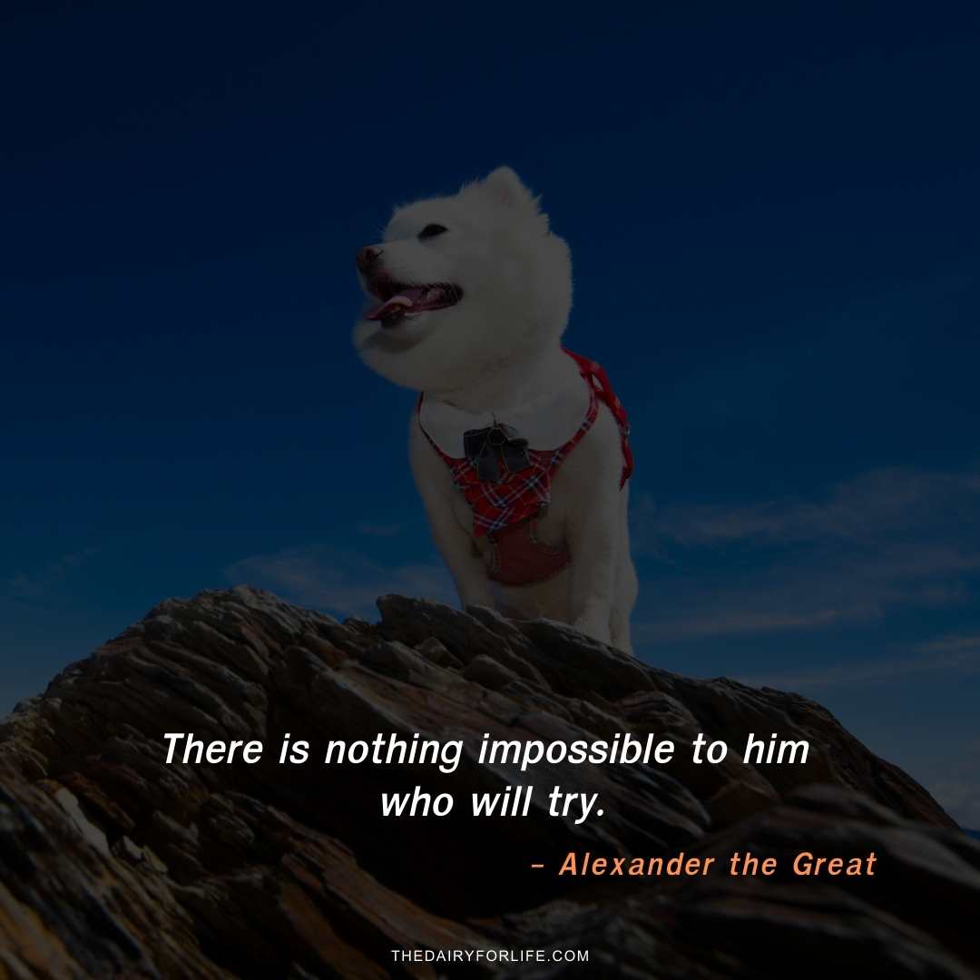 25+ Inspirational Alexander The Great Quotes On Success With Images