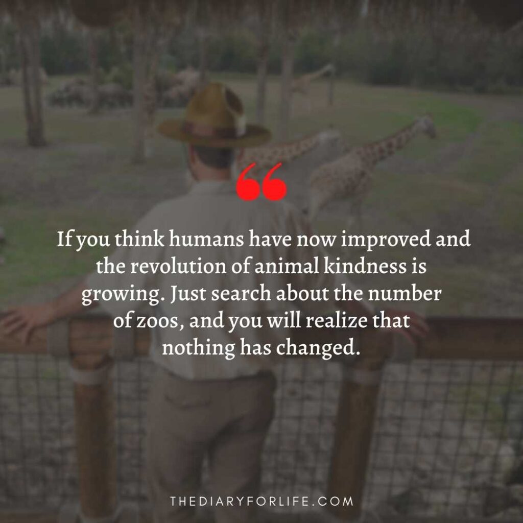 quotes about animal abuse
