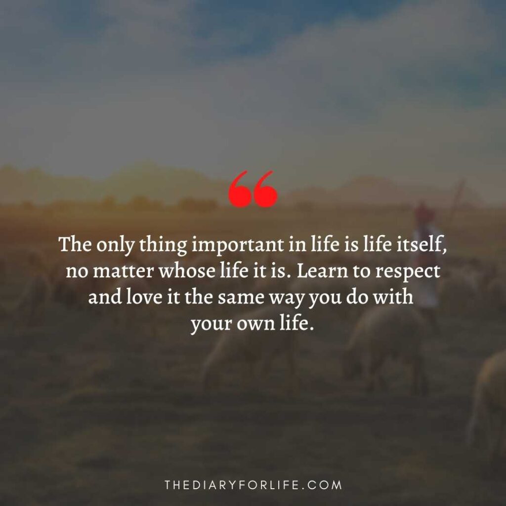 quotes about animal abuse