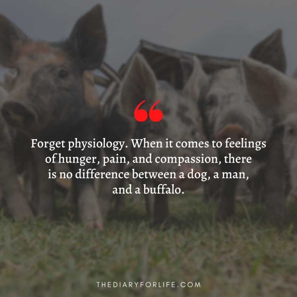 quotes about animal abuse