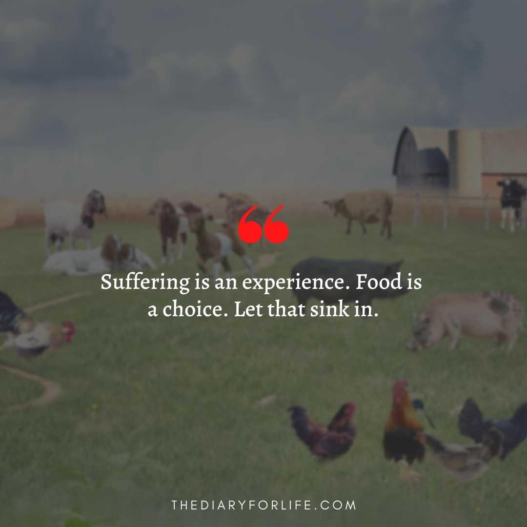 45+ Quotes About Animal Abuse To Stop Animal Cruelty