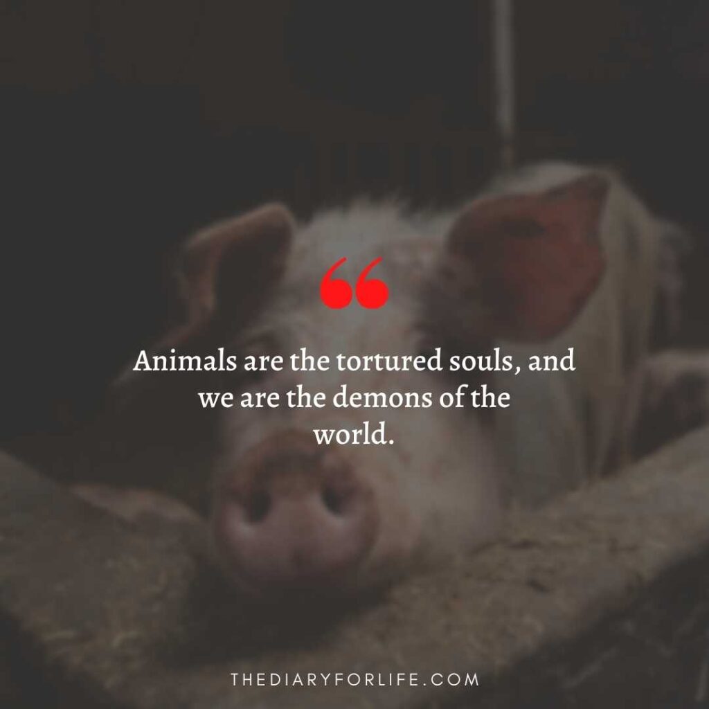 quotes about animal abuse