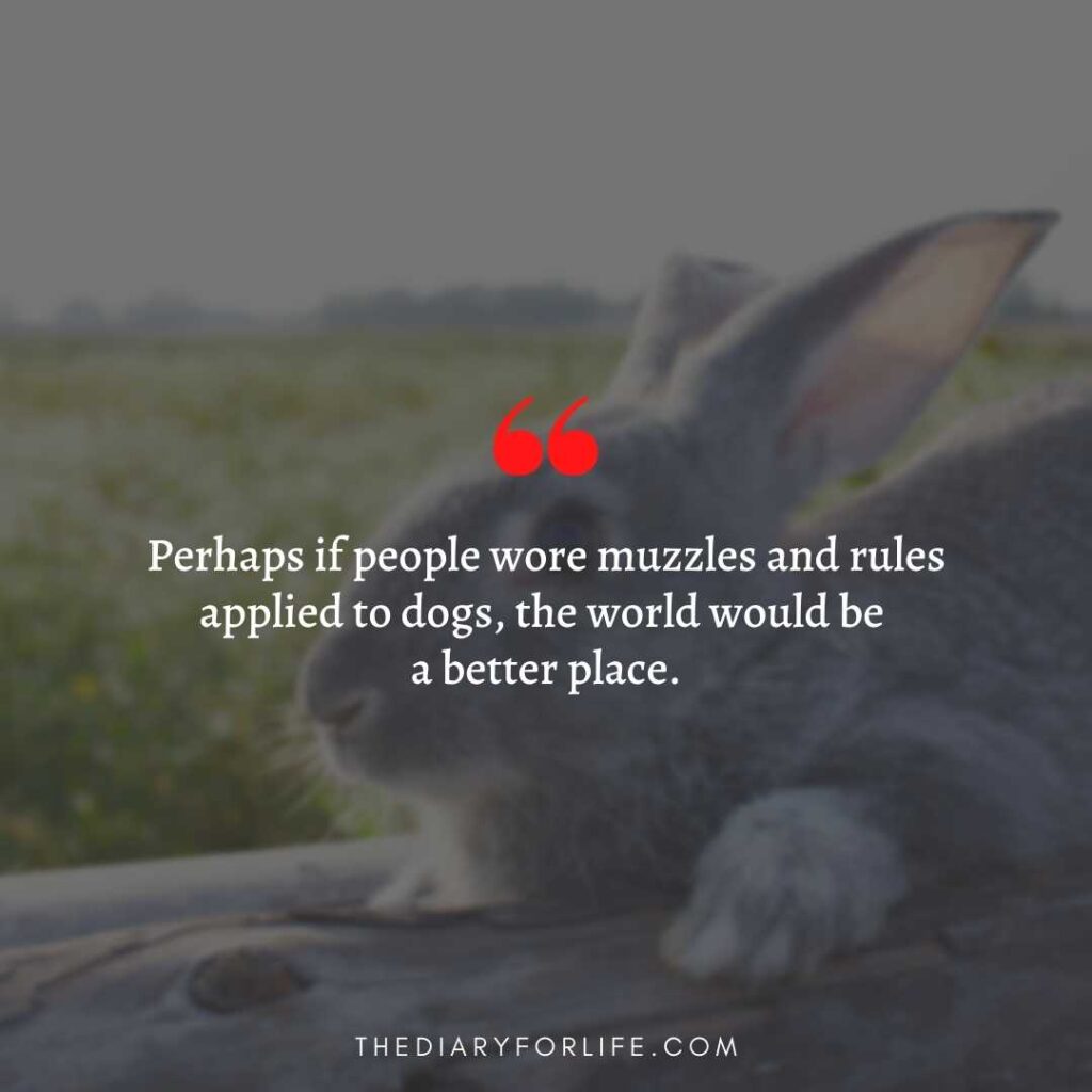quotes about animal abuse