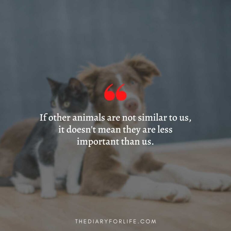 45+ Quotes About Animal Abuse To Stop Animal Cruelty