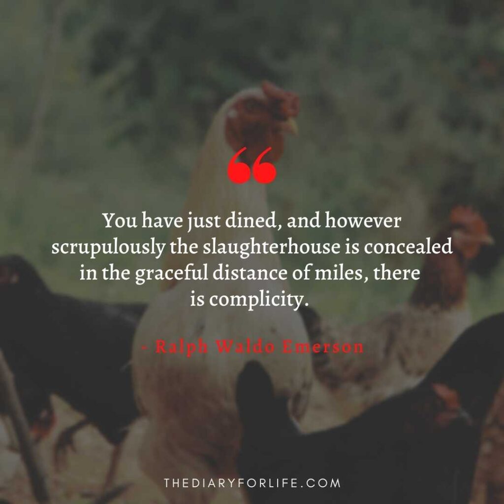 quotes about animal abuse