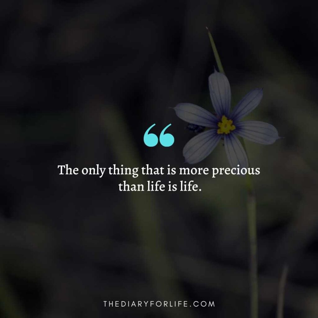 Life Is Precious Quotes