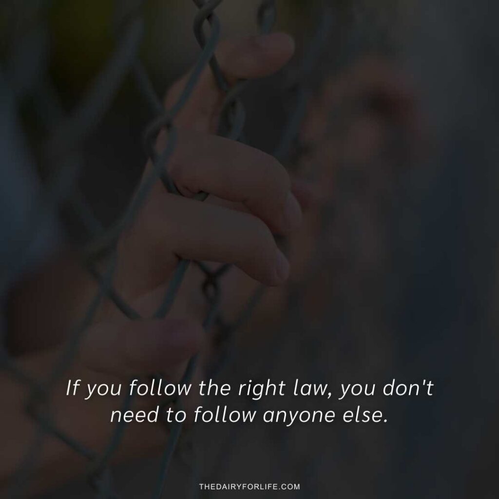lawyer quotes