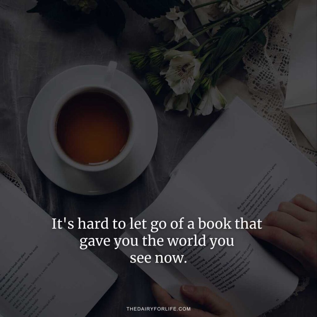 Aesthetic Quotes About Reading