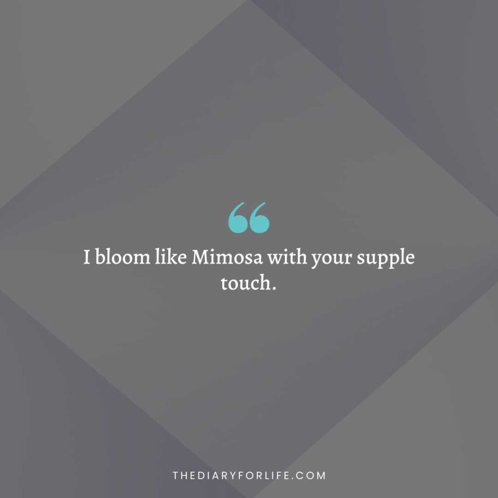 loving quotes for husband
