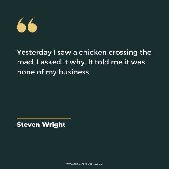Funny And Motivational Quotes By Steven Wright