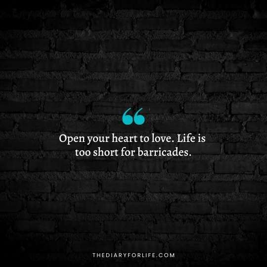 Life is Too Short quotes