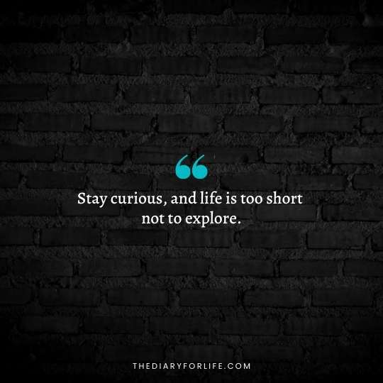 Life is Too Short quotes