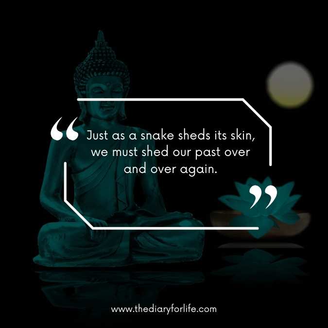 Buddha Quotes About Inner Peace