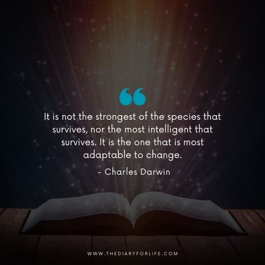 quotes about the power of knowledge